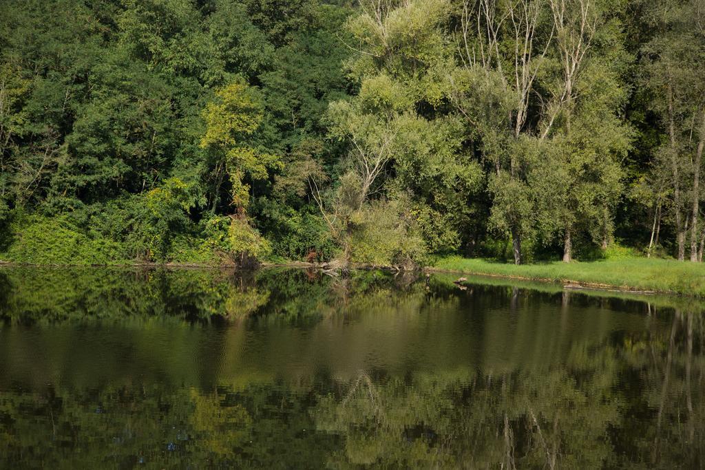 Hotel Del Lago Cavriglia Dış mekan fotoğraf